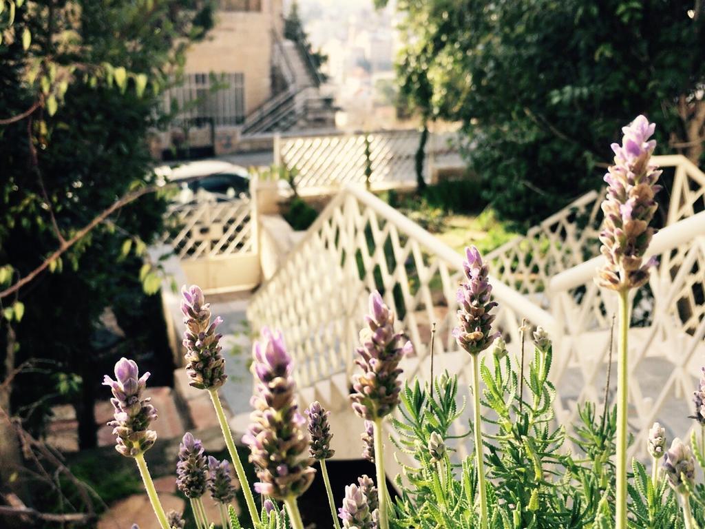 Lavender Boutique Hotel Ramallah Exterior foto
